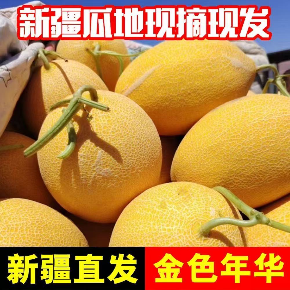 新疆哈密瓜哈密直发正宗金色年华哈密瓜当季新鲜脆甜多汁水果