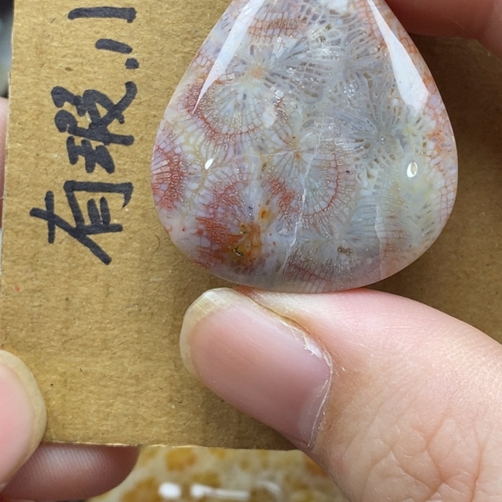 硅化珊瑚（珊瑚玉）未镶嵌颈饰