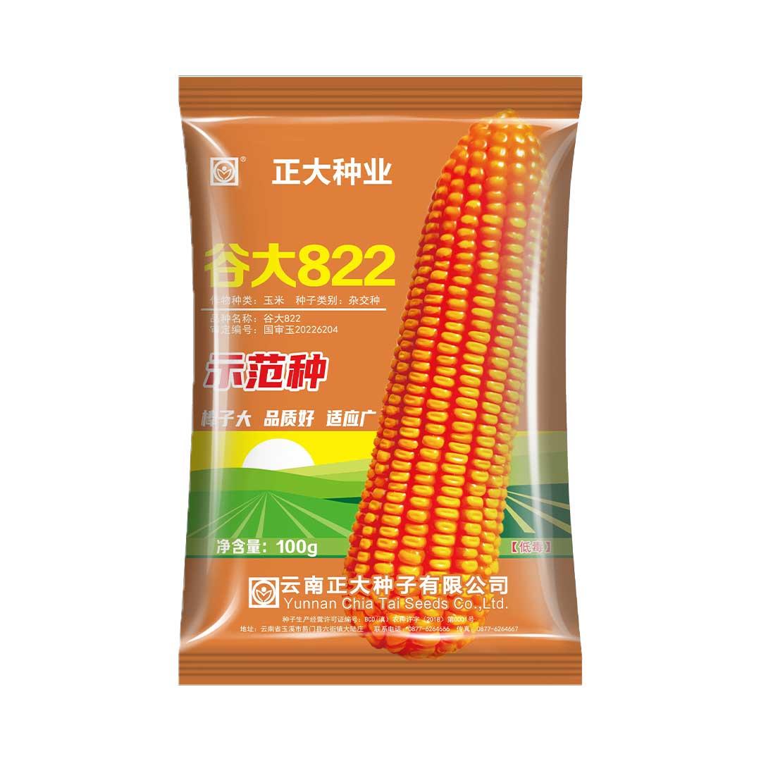 谷大822二两装100g优质稳产型大田玉米种子小袋试用尝新装