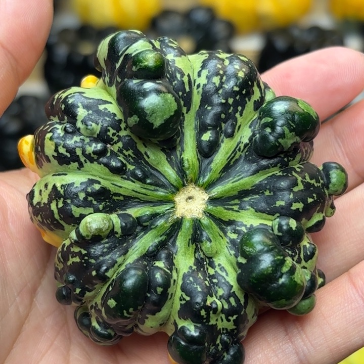 福利福利福利福利