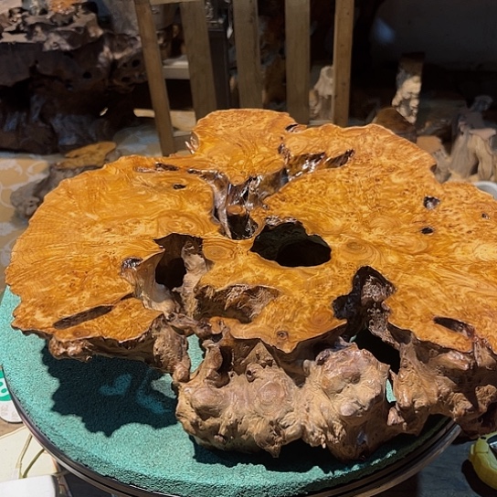 g***o四川省成都市香杉木