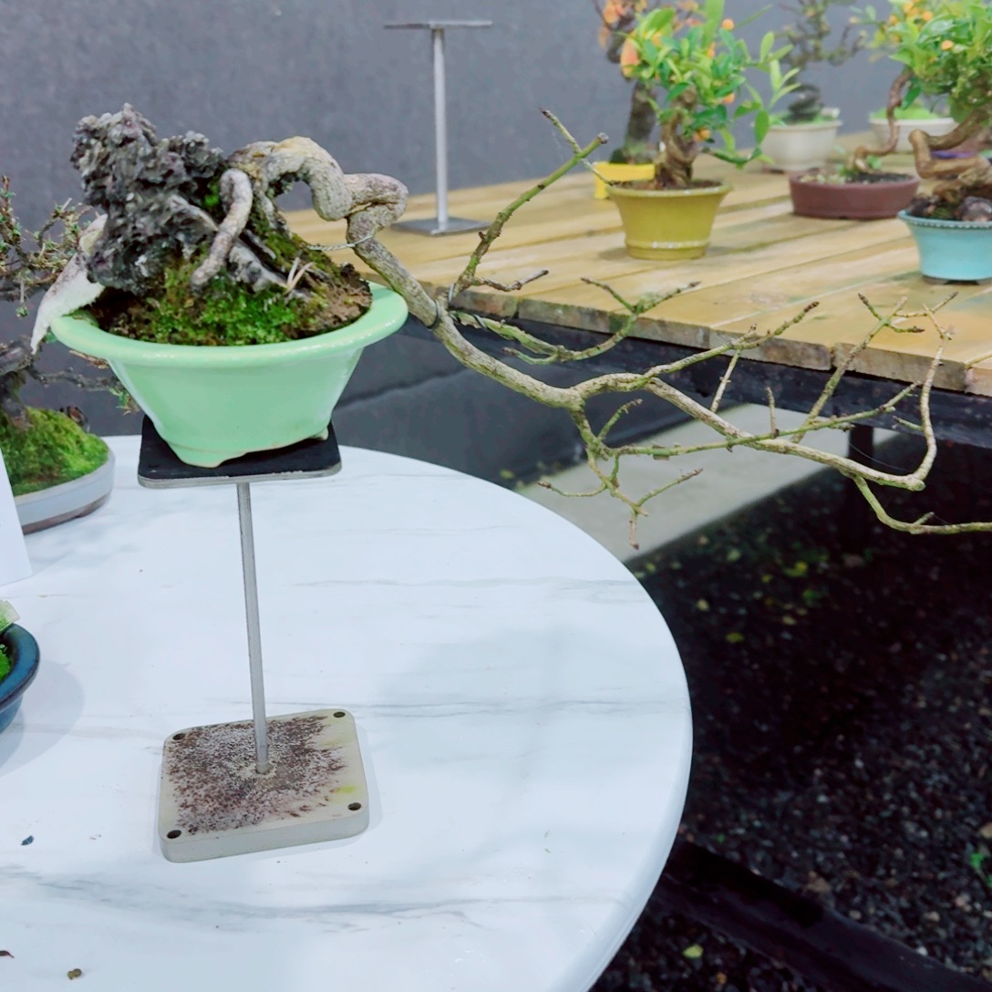 无花朵真弓8888888888