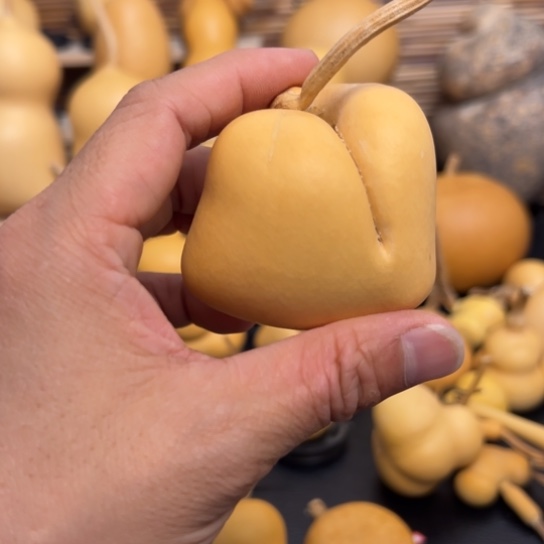 臾*孑12566899操作失误操作失误