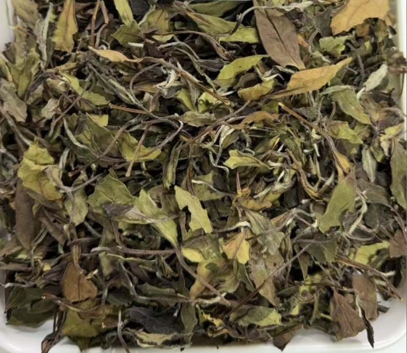 白茶溯源专场-2016年寒露散茶