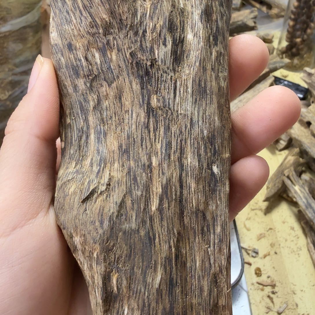 木绿奇楠原材料虫漏48克