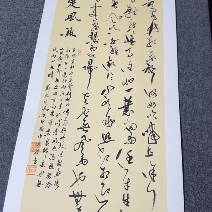 书法苏轼定风波草书