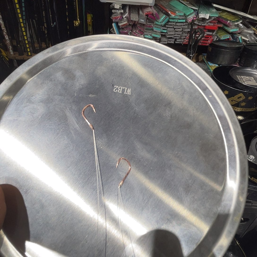 梧桐木1.5kg 拉力值全磁盘