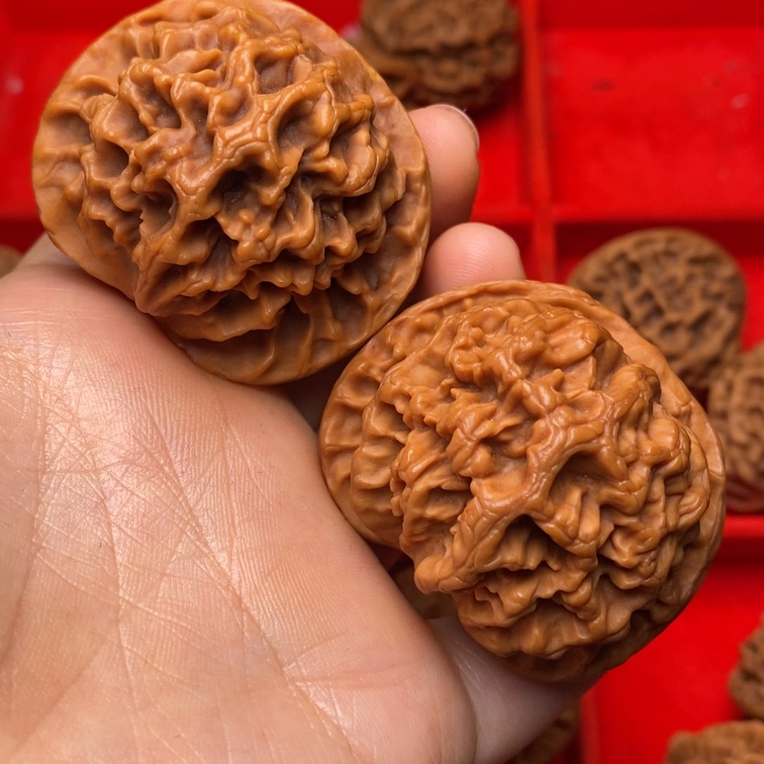 文玩核桃把件秦岭野生核桃