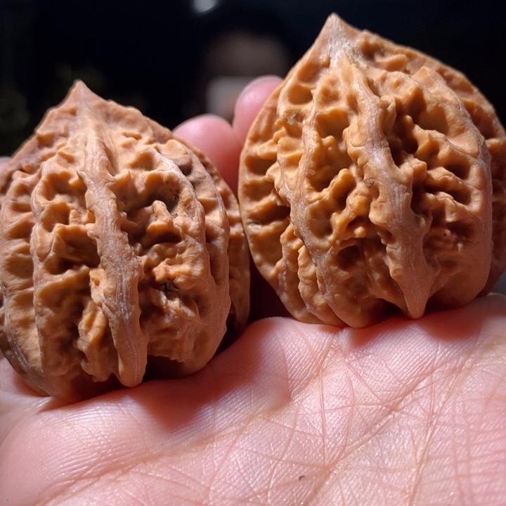 文玩核桃把件东北楸子小路19