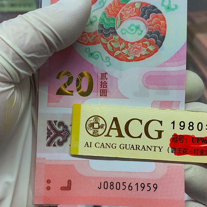 一张一张一张一张一张