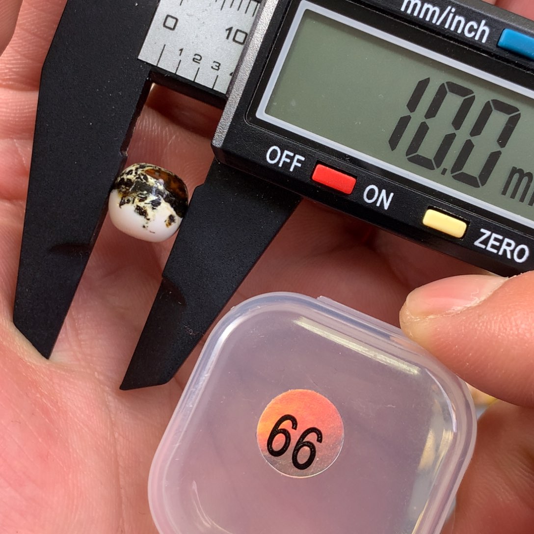 琥珀裸石未镶嵌奥利奥