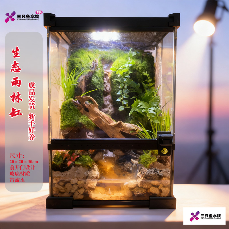 【直播】微造景生态缸水陆造景缸桌面景观可饲养蟹蛙鱼龟寄居蟹缸