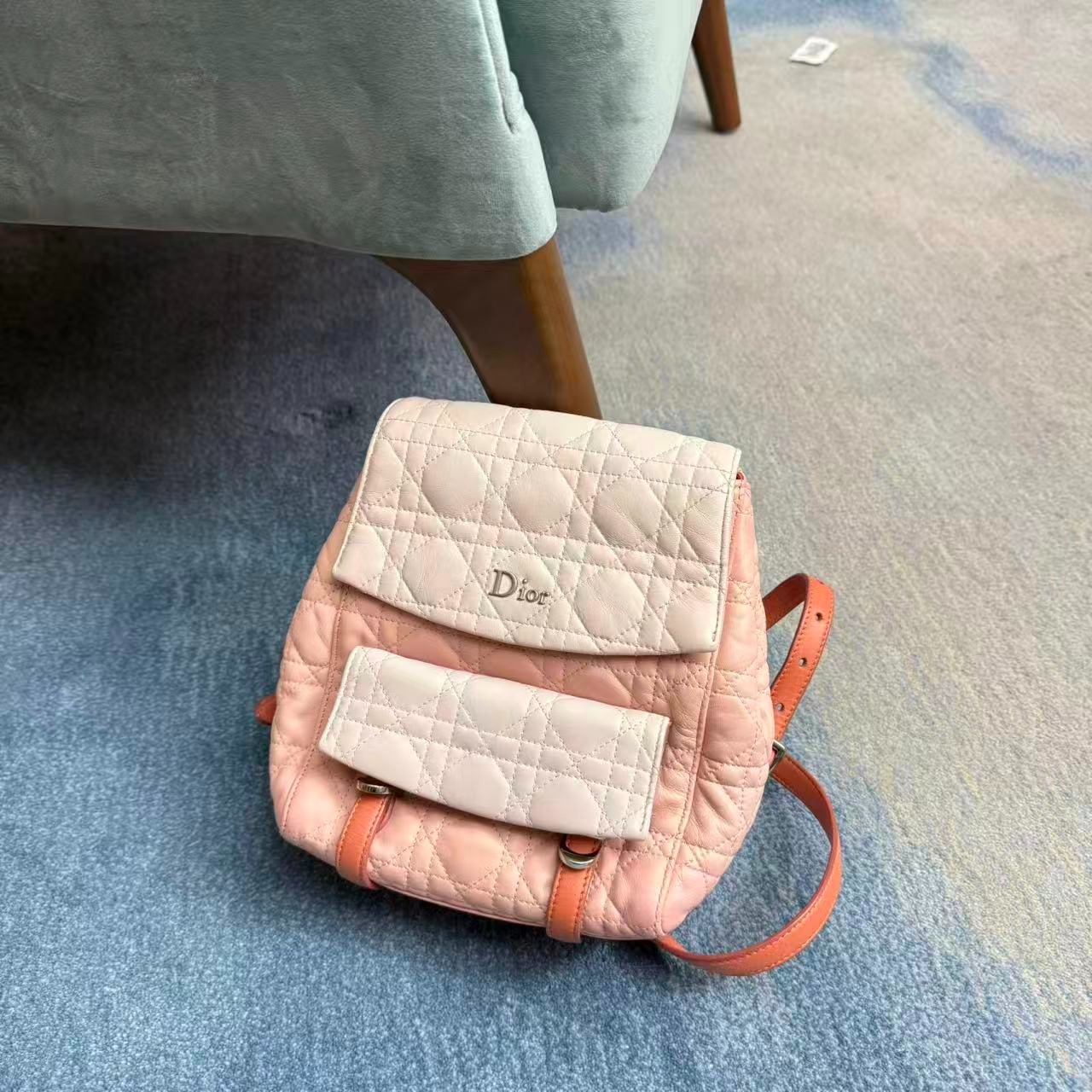 95新 DIOR/迪奥 乱乱子中古/女士/双肩包/118723