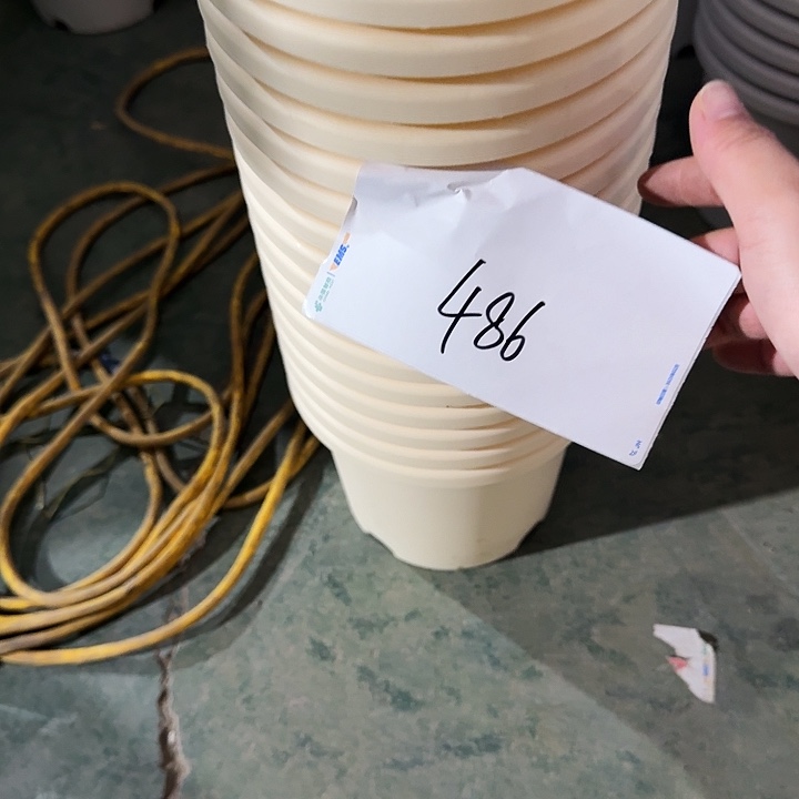 编号486瑕疵12个无托