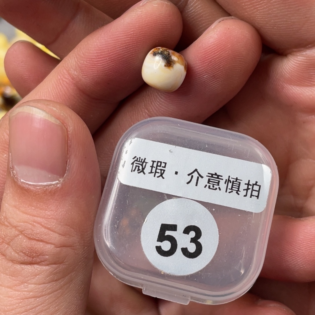 琥珀未镶嵌珠宝奇石