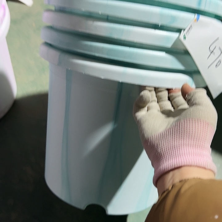 串色5#口径29浅色5个无托