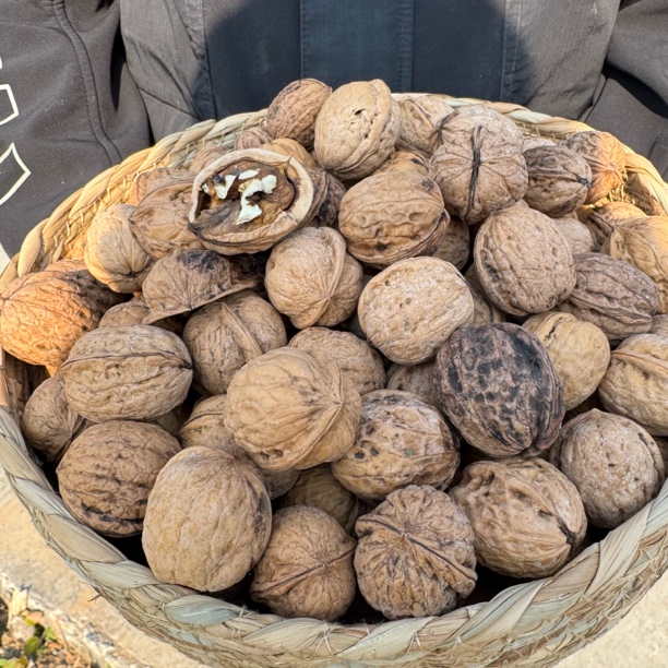 【李司令】太行山老树薄皮原味无漂白核桃美味坚果零食