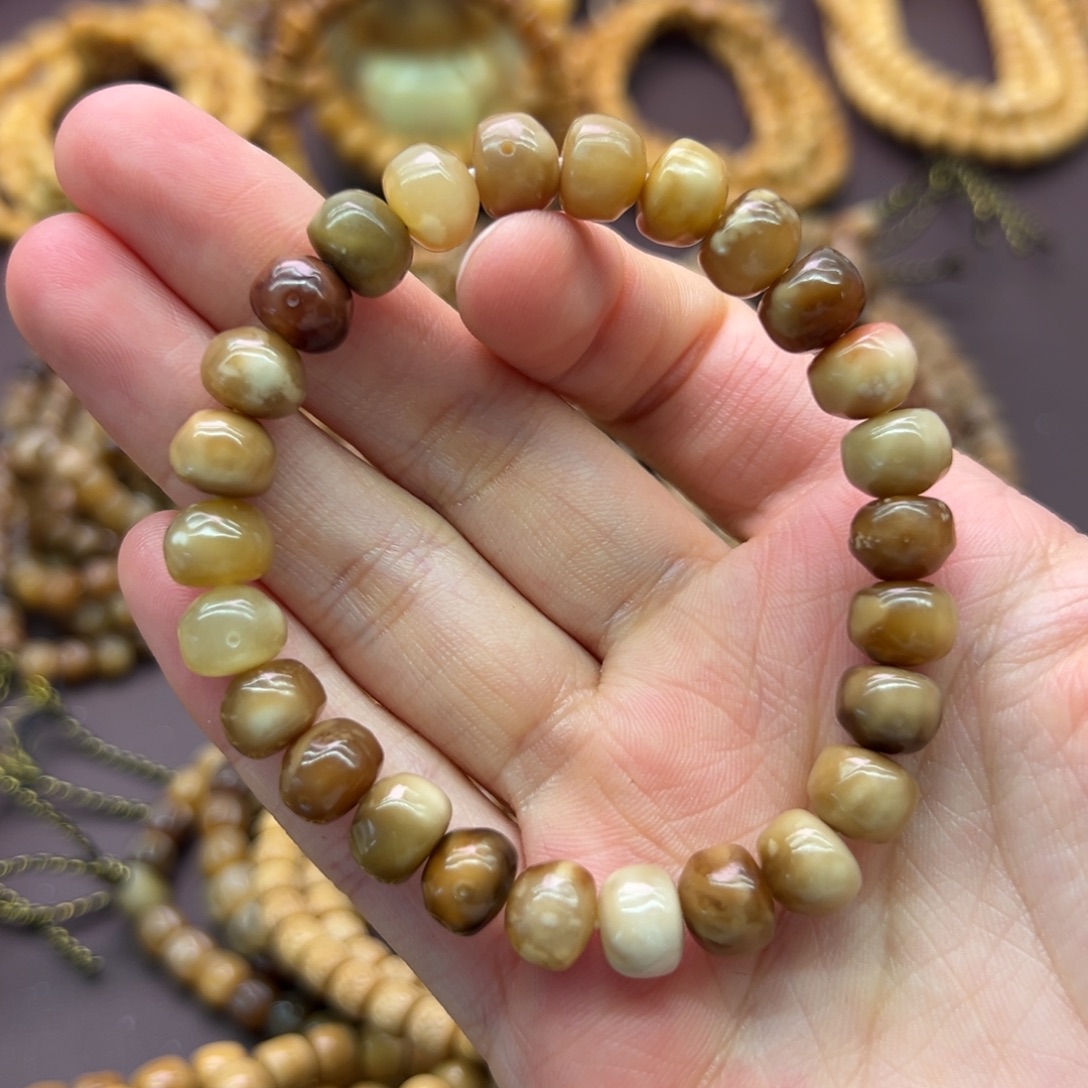 玖***丶龙脊菩提吊坠原籽