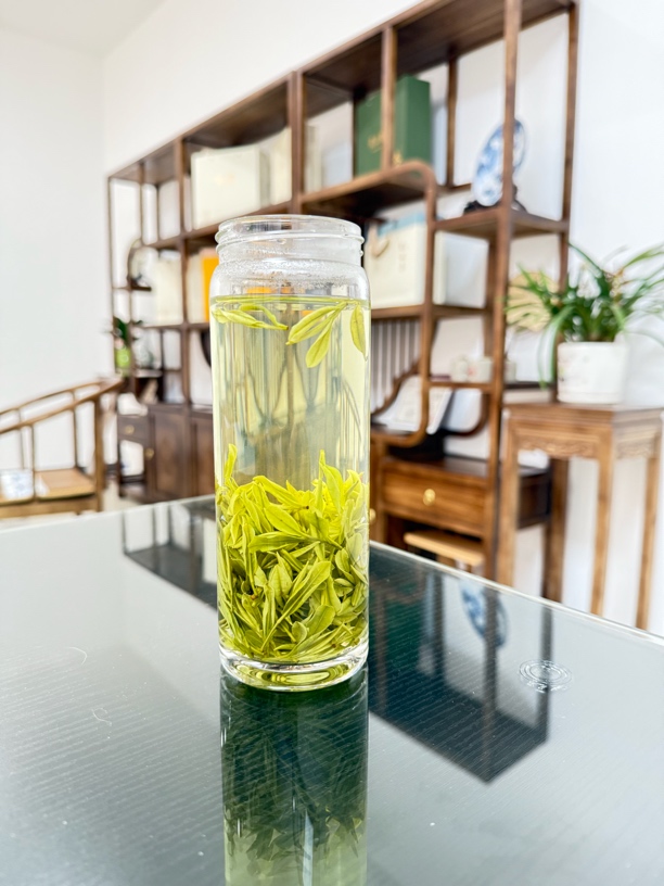 香甜安吉白茶25年新茶高山早期嫩芽奶香栗香鲜爽甘甜回甘好