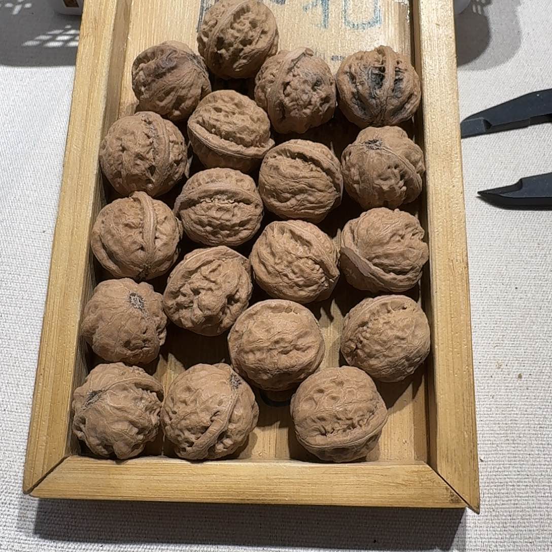 核桃手串/手链14号边24手持