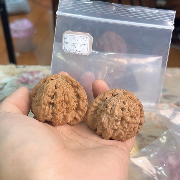 文玩核桃把件白狮子