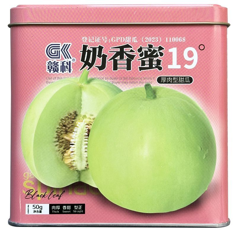 奶香蜜19°甜瓜种子薄皮浓香甜蜜早熟高产杂交春季播大果醉甜香宝