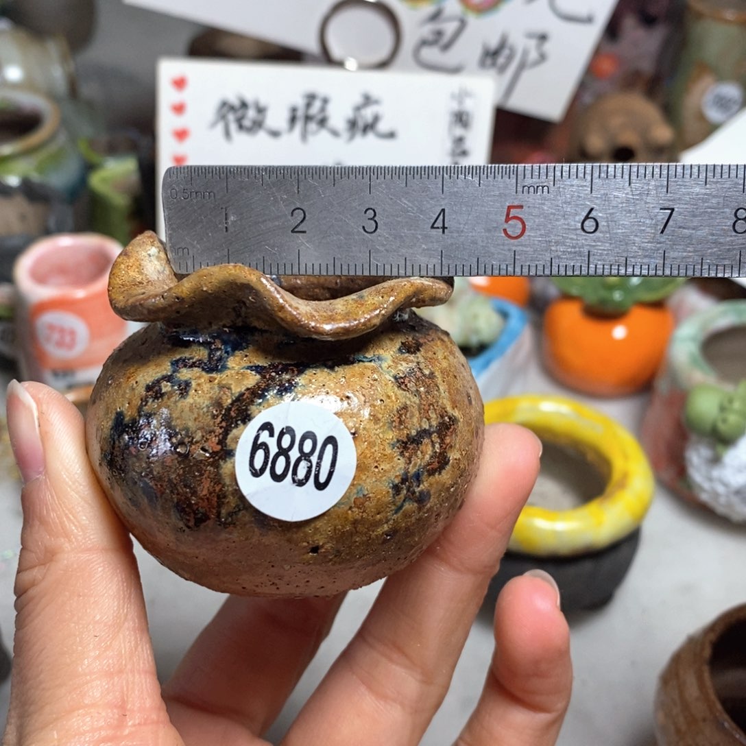 拍5送一个小礼物＇花盆