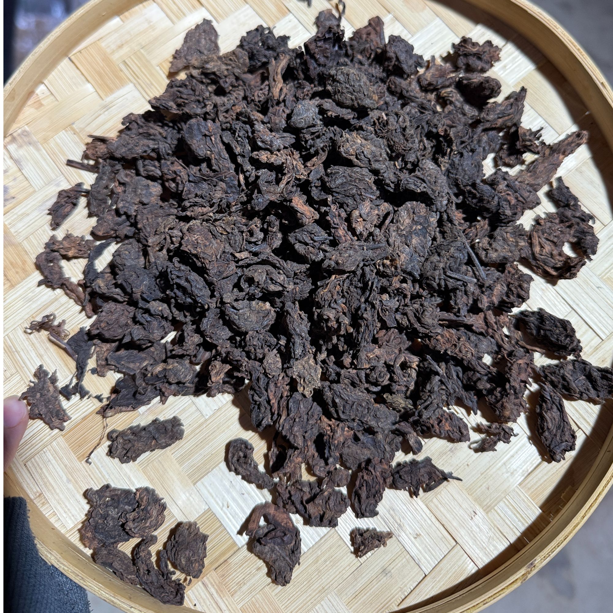 2019年 班盆 熟茶 普洱茶  熟茶老茶头250克