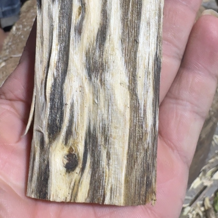 沉香碎屑沉香奇楠沉香 多样性发一