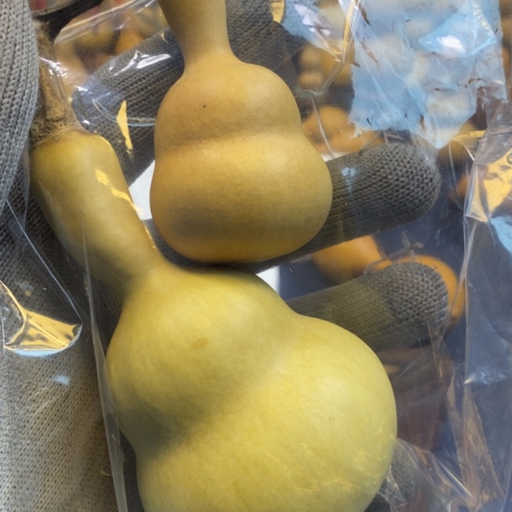 哈***桑这个时候应该可以