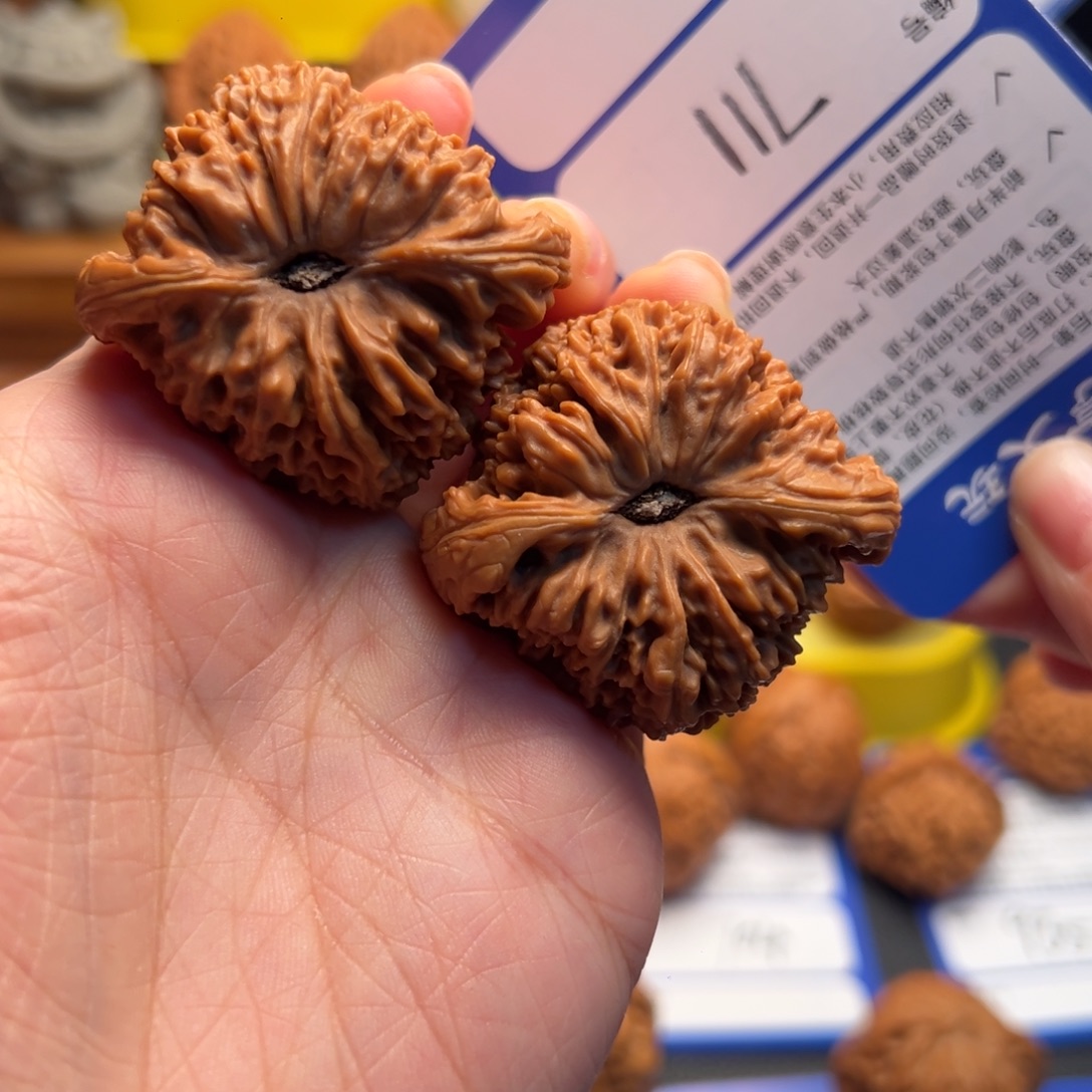 肚***肉核桃711有修南疆石44尺