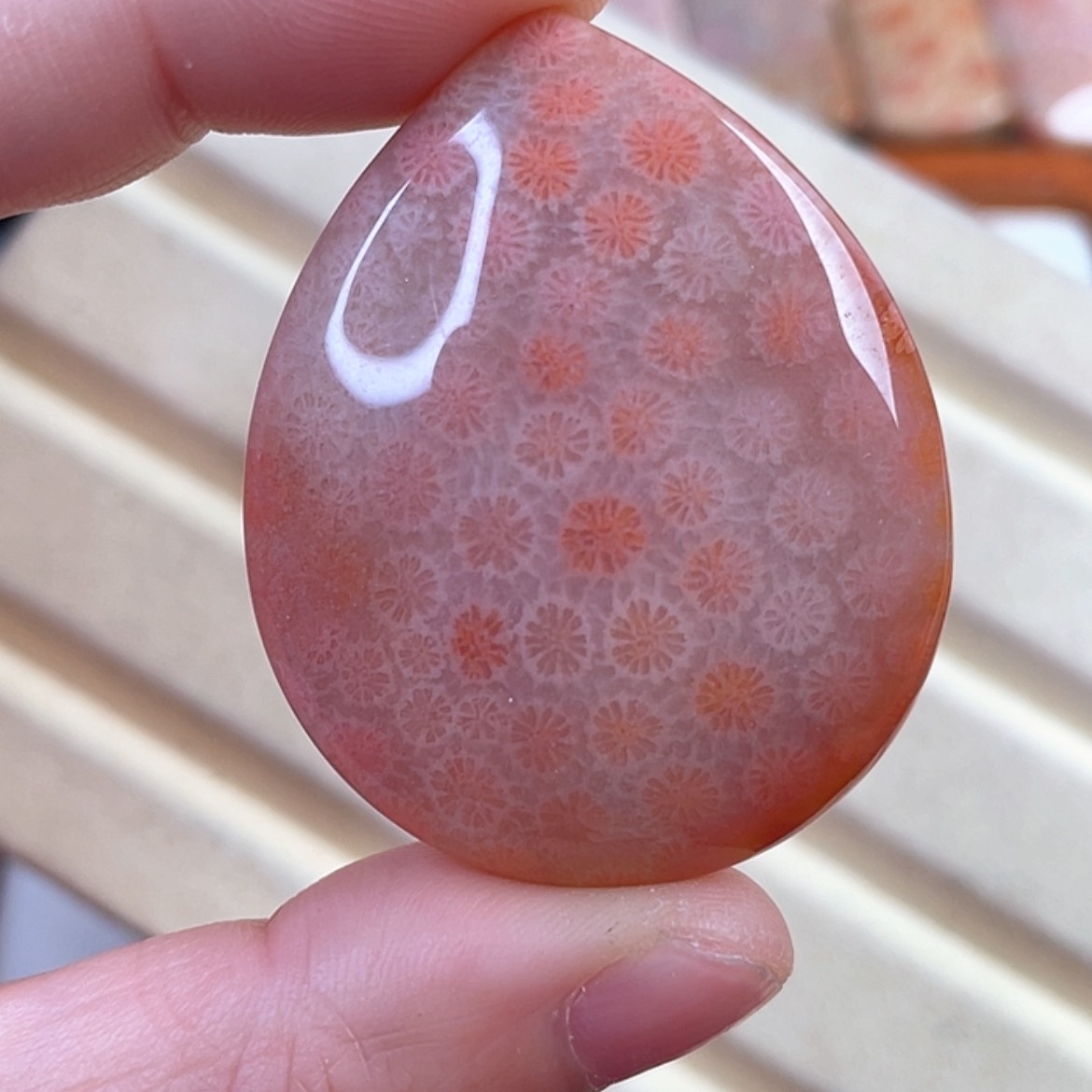 【闪购商品】硅化玉颈饰未镶嵌