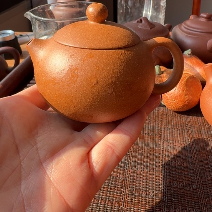 茶壶紫砂将坡西施120cc