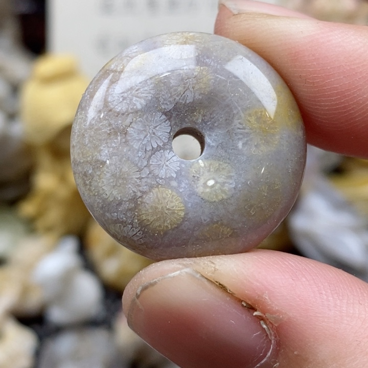 颈饰未镶嵌硅化珊瑚（珊瑚玉）小