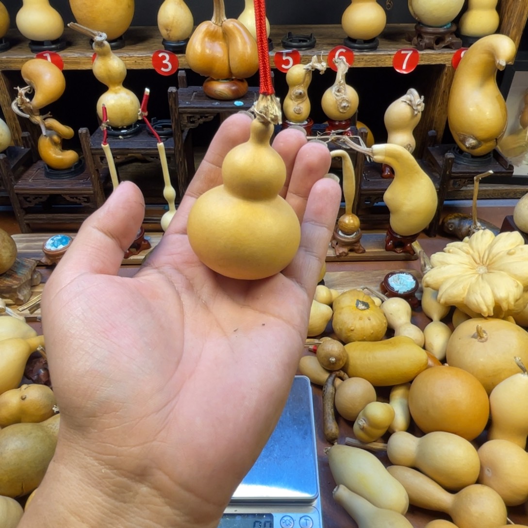 V***a葫芦村等乡镇企业发展