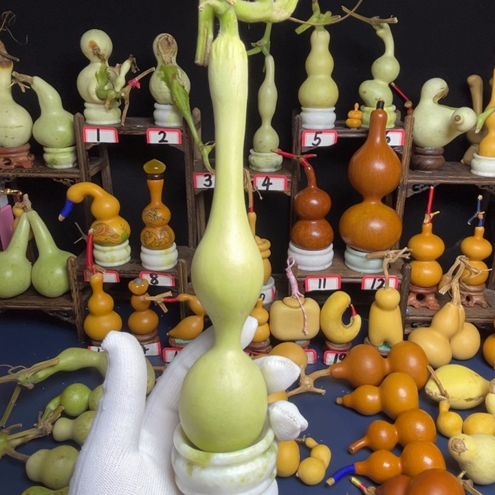 啾***份青皮爆头蚂蚁杆子
