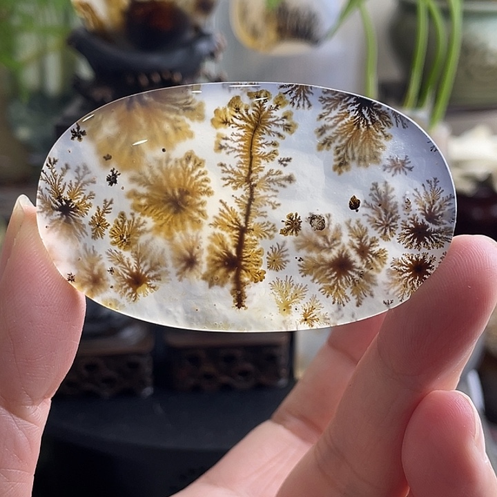 玛瑙/玉髓未镶嵌珠宝半成品