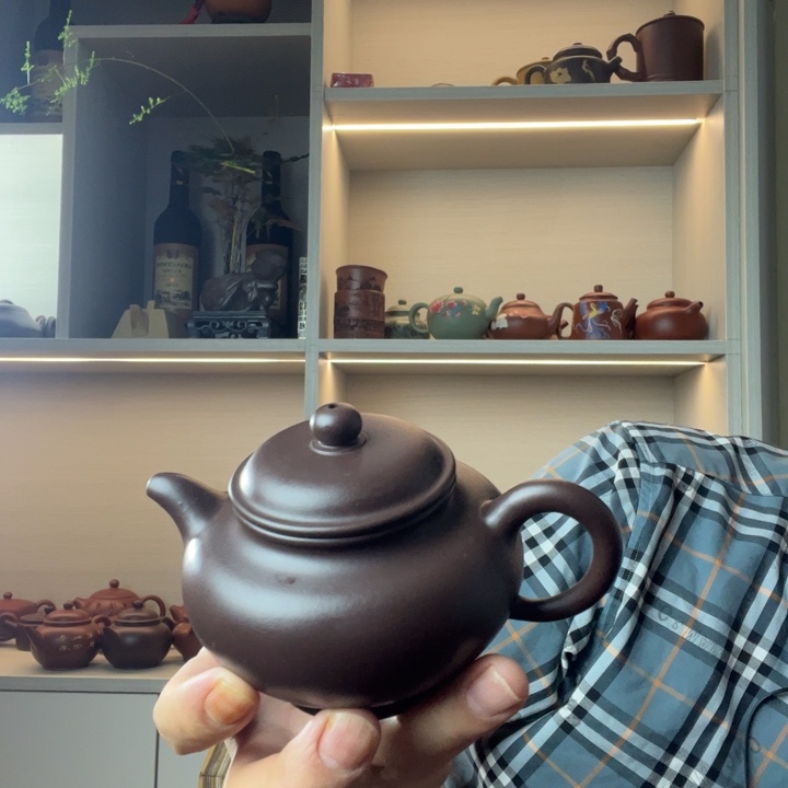 茶壶紫砂把h韩国vv个广告