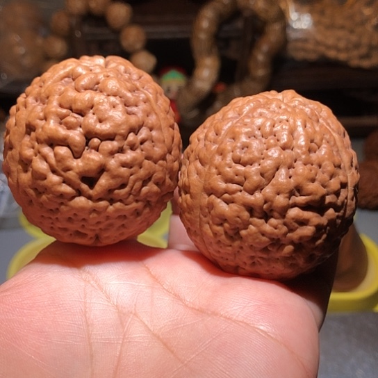 橄榄核把件脑纹金刚菩提