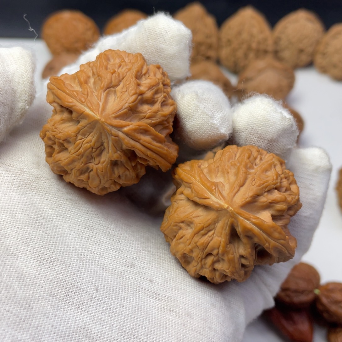 核桃39野生将军有修