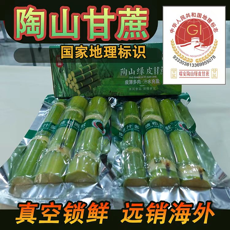 正宗陶山甘蔗新鲜青皮绿甘蔗当季时令水果脆甜多汁可手撕真空锁鲜