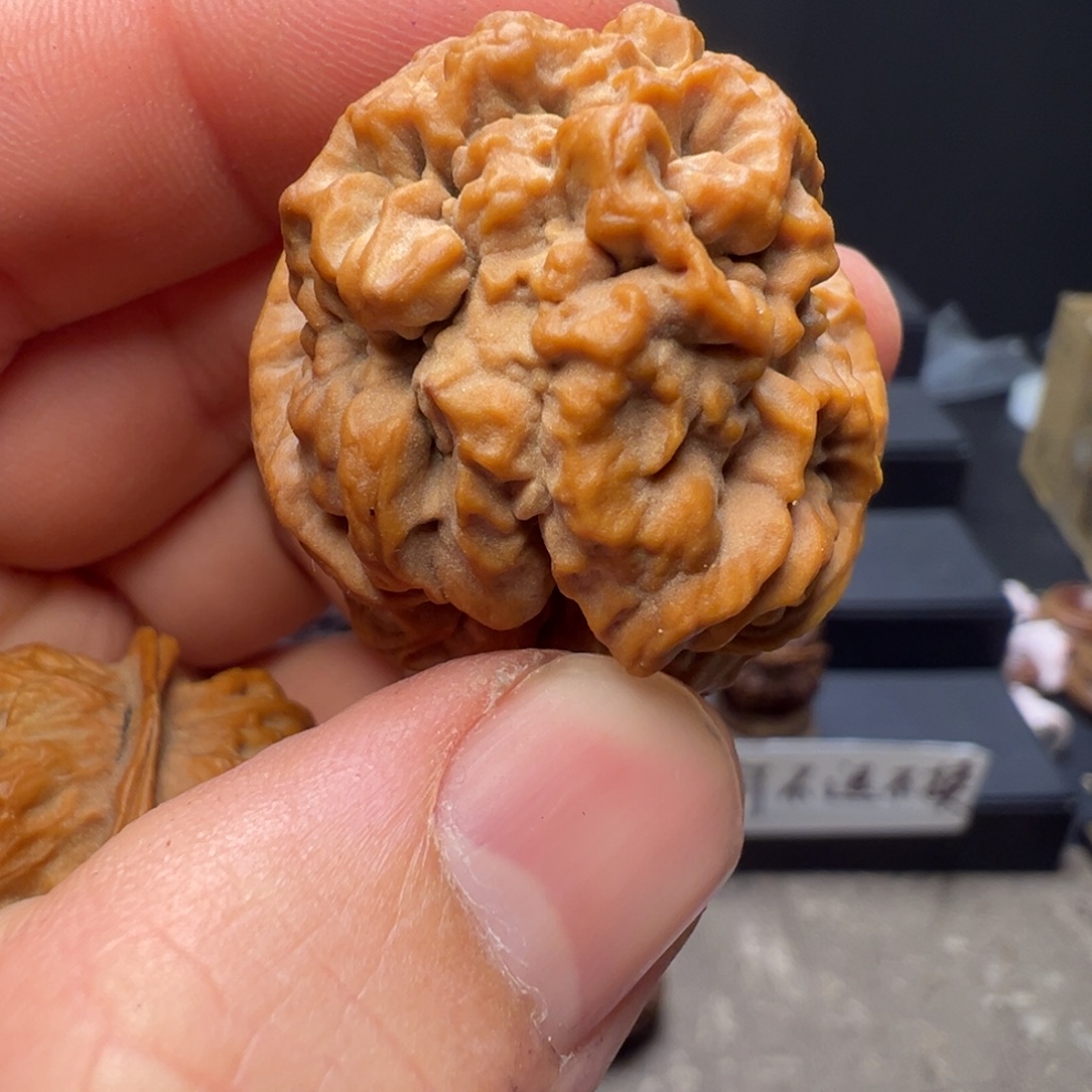 匠***美文玩核桃吊坠舍利子