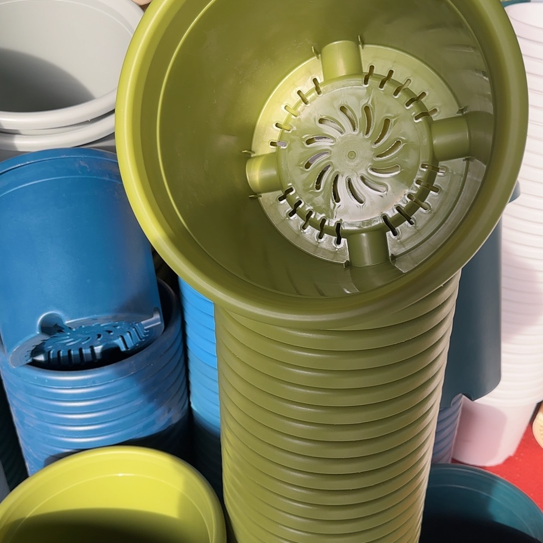 树脂四季4号无托8个果绿微瑕