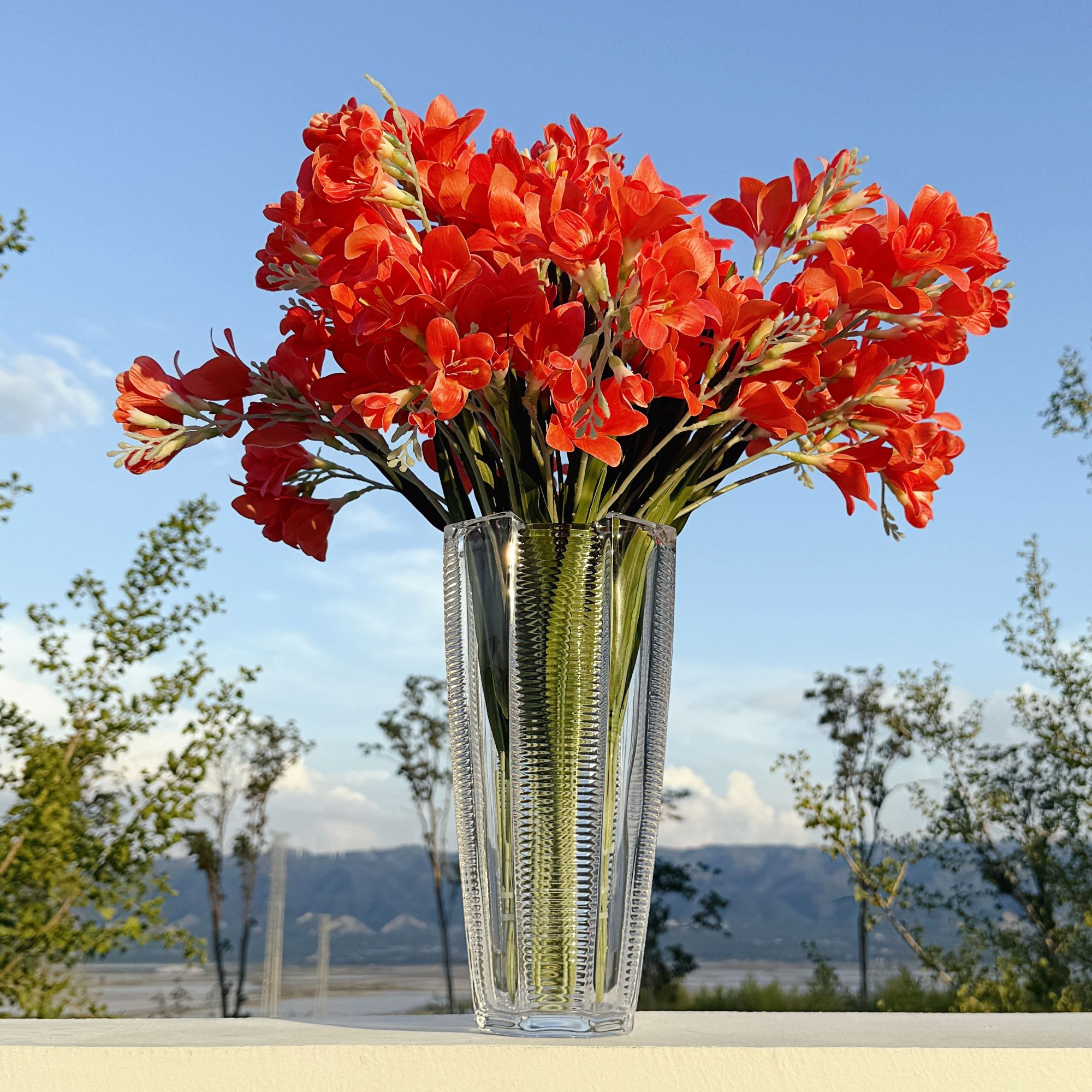 明赫  |  轻奢加厚水晶玻璃花瓶插花富贵竹花器客厅装饰插花