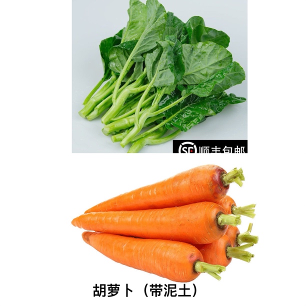 【众旺农场】芥蓝 2斤➕胡萝卜2斤 蔬菜组合 顺丰包邮 送货上门