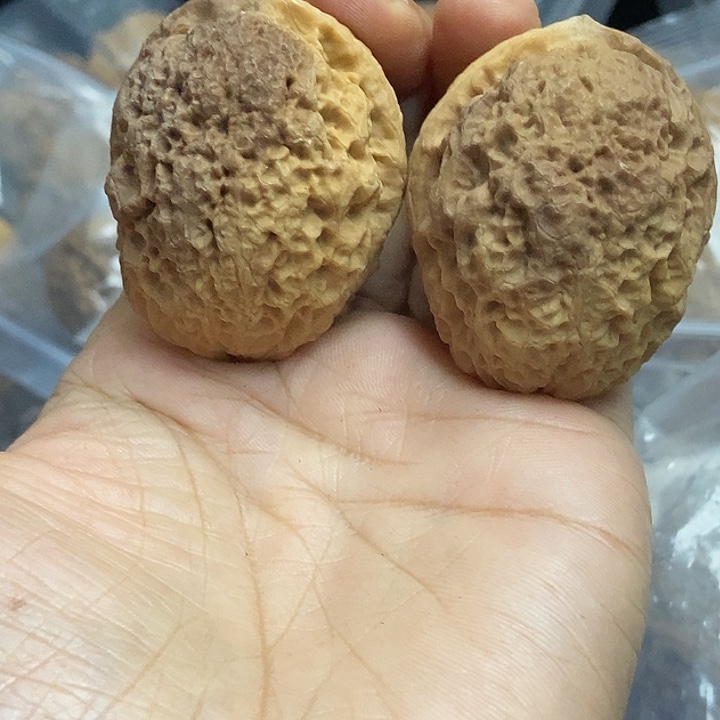 文玩核桃把件云南铁核桃基地92