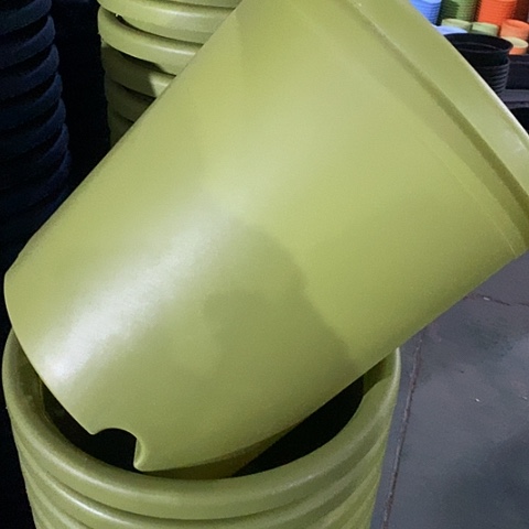 树脂四季7号微瑕果绿无托6个