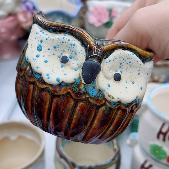 多肉绿植陶瓷花盆9.9包邮，有空