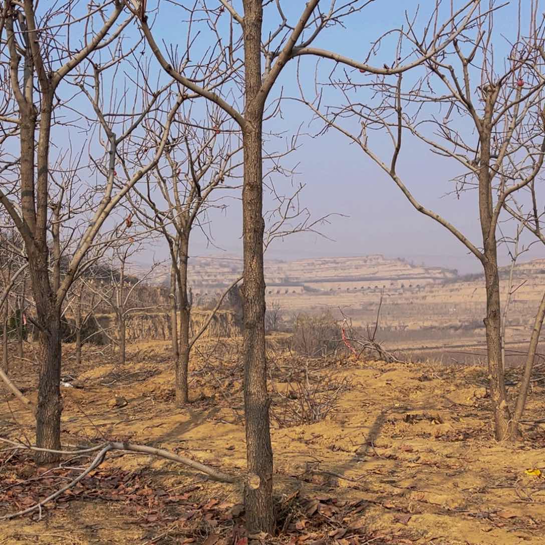 完全开放一物一拍