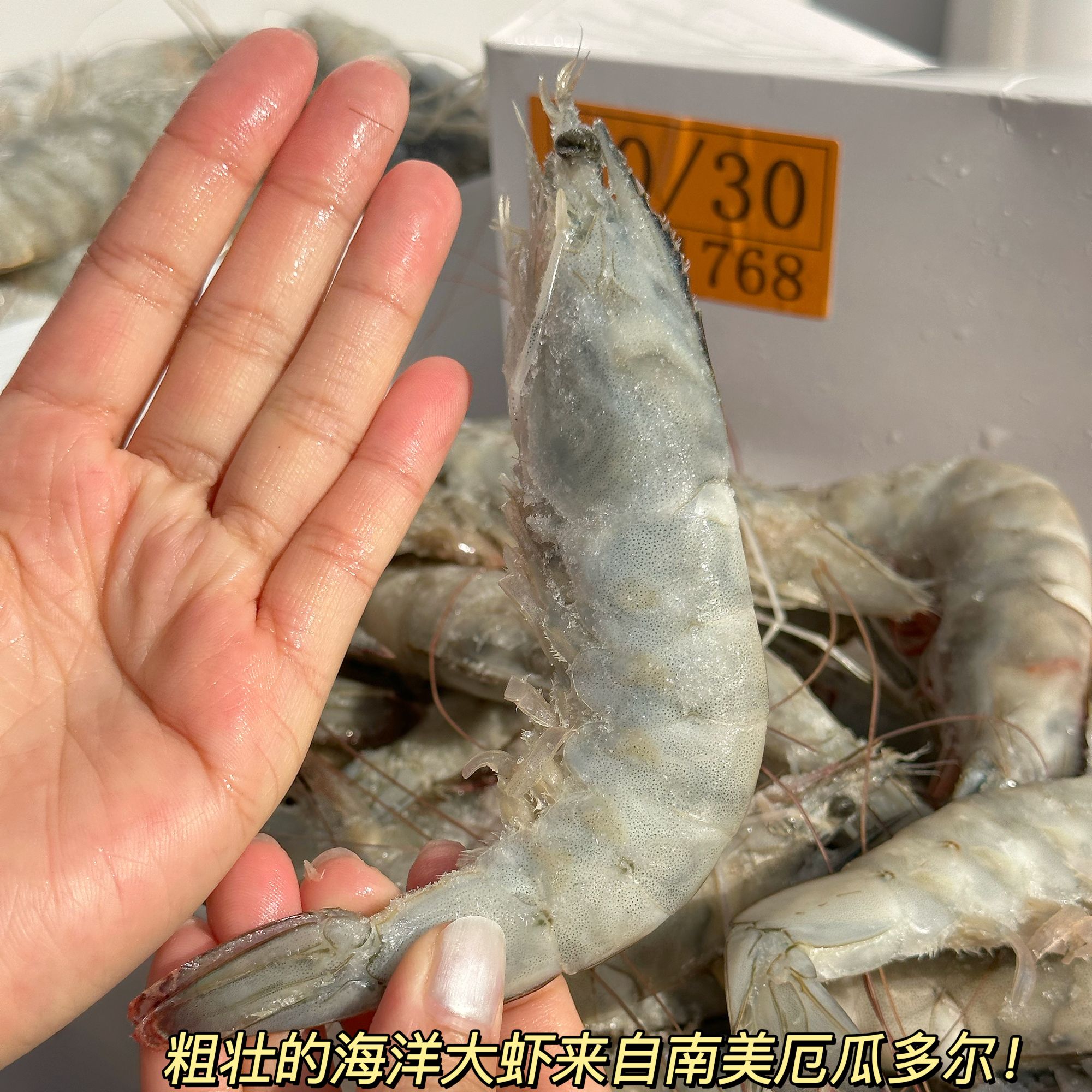 特大号2030海洋大虾南美白虾去冰去盒纯虾净重量3斤/1.65kg多规格